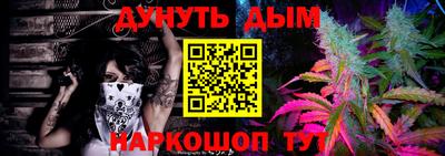 сатива Можга