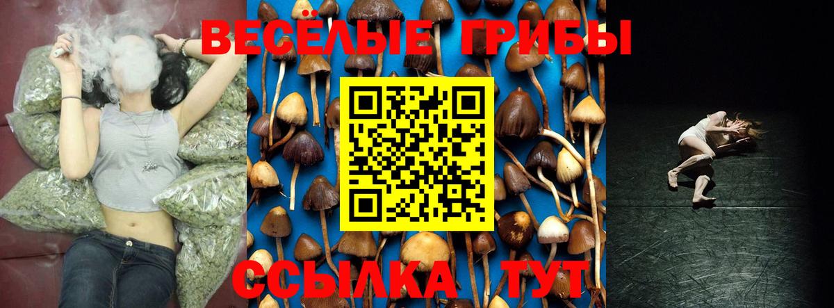 Феодосия  Галлюциногенные грибы GOLDEN TEACHER  Вход с VPN 